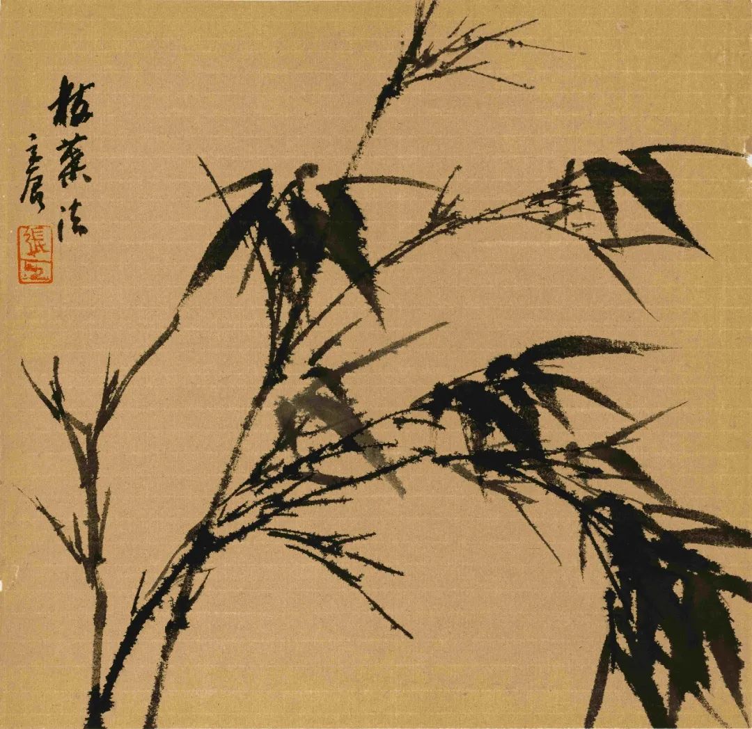 圖片