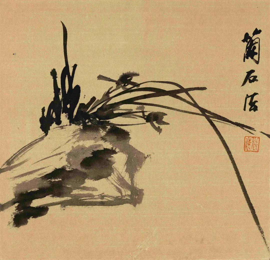 圖片