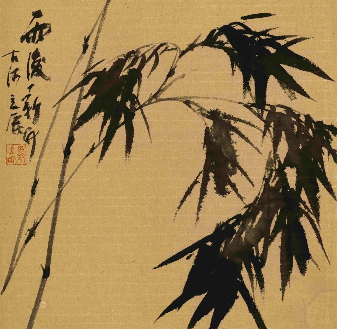 圖片